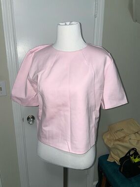 Express Pink Short Sleeve Boxy Top